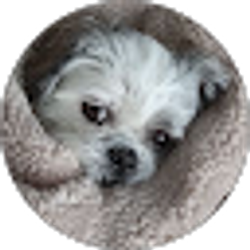 Profile photo of Terri Musolf
