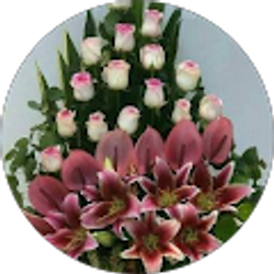 Profile photo of Analili Guzman