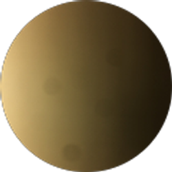 Profile photo of Gina N