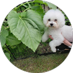 Profile photo of Darleen Panter