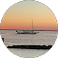 Profile photo of Dan R