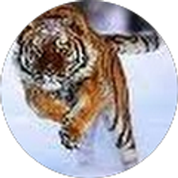 Profile photo of J R