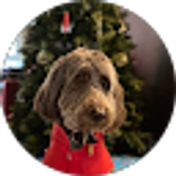 Profile photo of enzo a