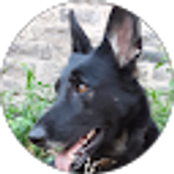 Profile photo of William Owen