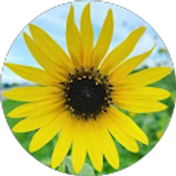 Profile photo of Laura