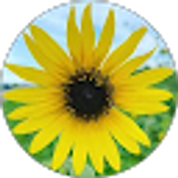 Profile photo of Laura