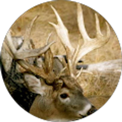 Profile photo of Jamie Miller