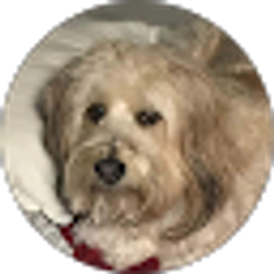 Profile photo of Tammy Love