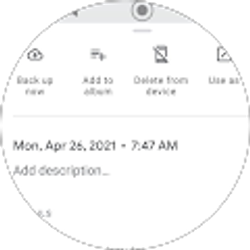 Profile photo of Dorothy Martucci