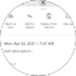 Profile photo of Dorothy Martucci