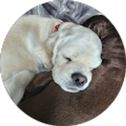 Profile photo of Dollene Miller