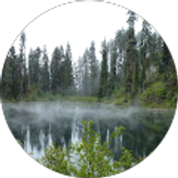 Profile photo of Michelle Ladewig