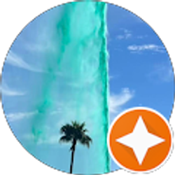 Profile photo of Virgi Florescu