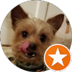 Profile photo of Kathy Forte