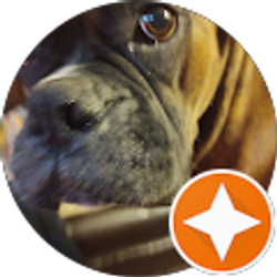 Profile photo of Ed Hall