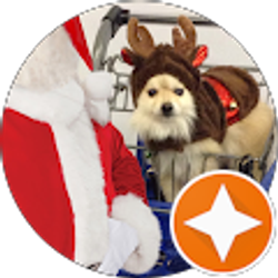 Profile photo of rico