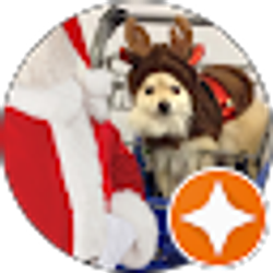 Profile photo of rico