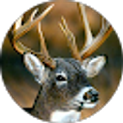 Profile photo of Noah Smith