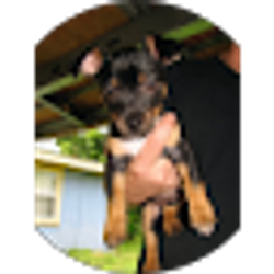 Profile photo of daniel ruth