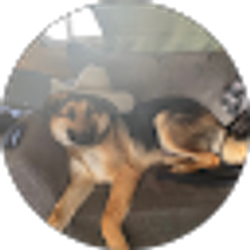 Profile photo of T R