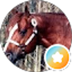 Profile photo of Georgia Miller