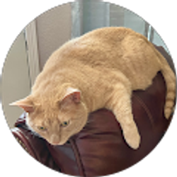 Profile photo of Susan Estes