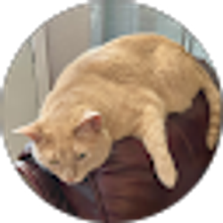 Profile photo of Susan Estes