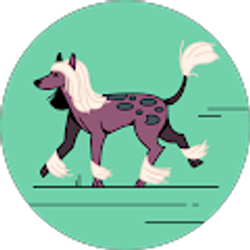 Profile photo of Casey Weier