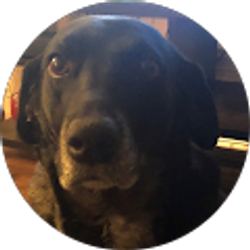 Profile photo of Scott Red