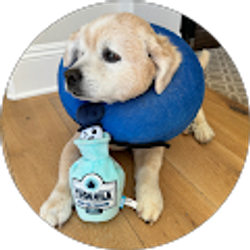 Profile photo of Pedro Reyes