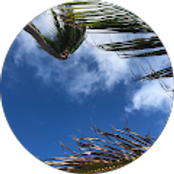 Profile photo of Dez Miles