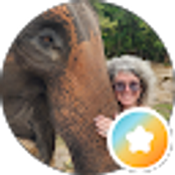 Profile photo of Stevi