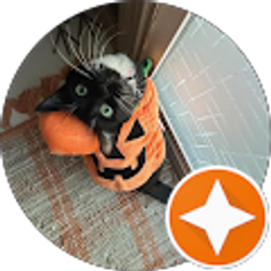 Profile photo of T o