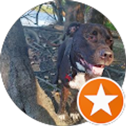 Profile photo of Leah Ann