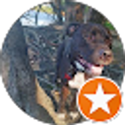 Profile photo of Leah Ann