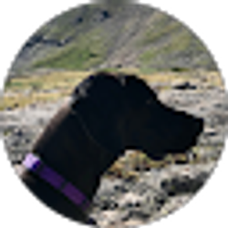 Profile photo of R Eich