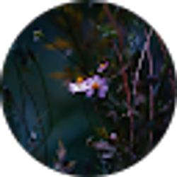 Profile photo of Joshua Konneker