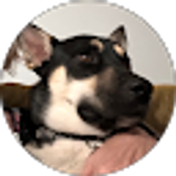 Profile photo of Penny Chatman