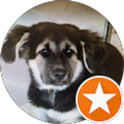 Profile photo of Jamie P