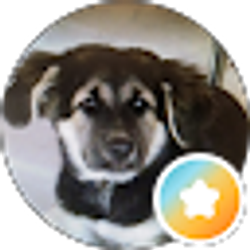 Profile photo of Jamie P