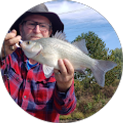 Profile photo of Ken Rice