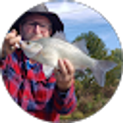 Profile photo of Ken Rice