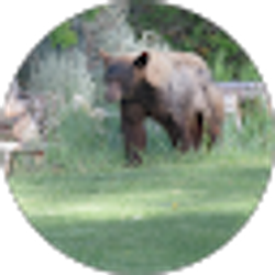 Profile photo of Christine Hartley