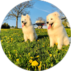 Profile photo of Zhe Ren Choong