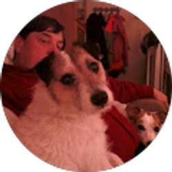 Profile photo of Randy Stevens