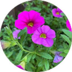 Profile photo of Liz