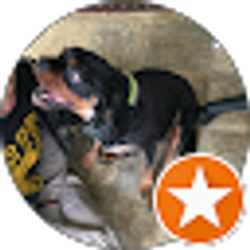 Profile photo of lashay Davis