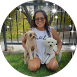 Profile photo of Maricendi Jaimes