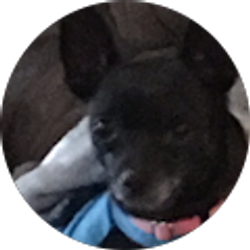 Profile photo of Lynn Cook