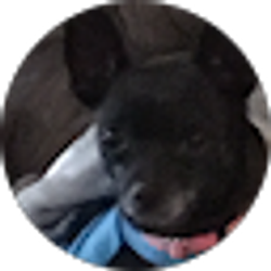 Profile photo of Lynn Cook